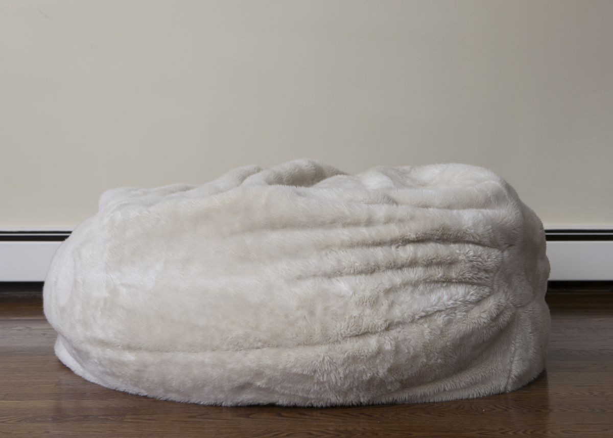 Pottery Barn Teen Faux Fur Bean Bag Chair