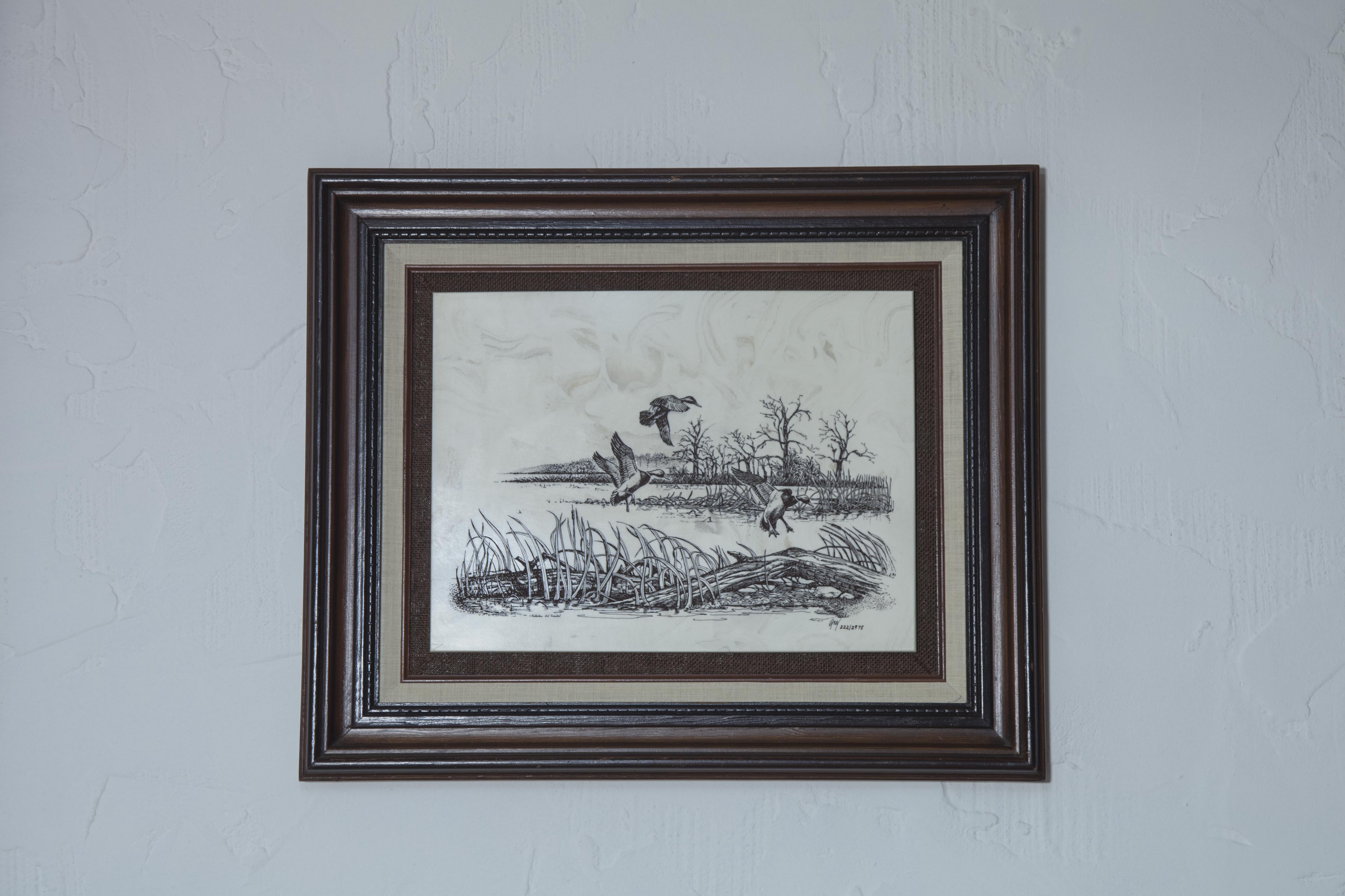 Framed Duck Engraving