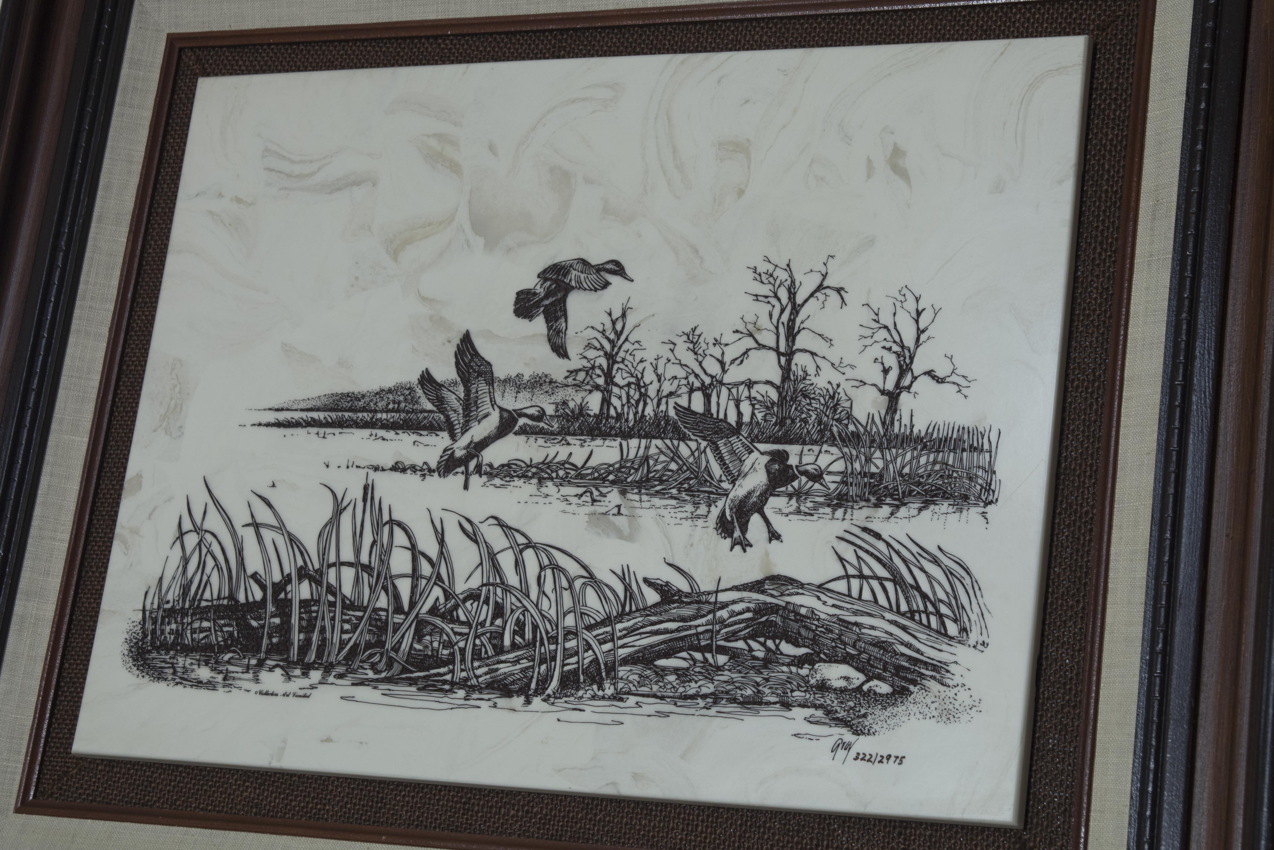 Framed Duck Engraving