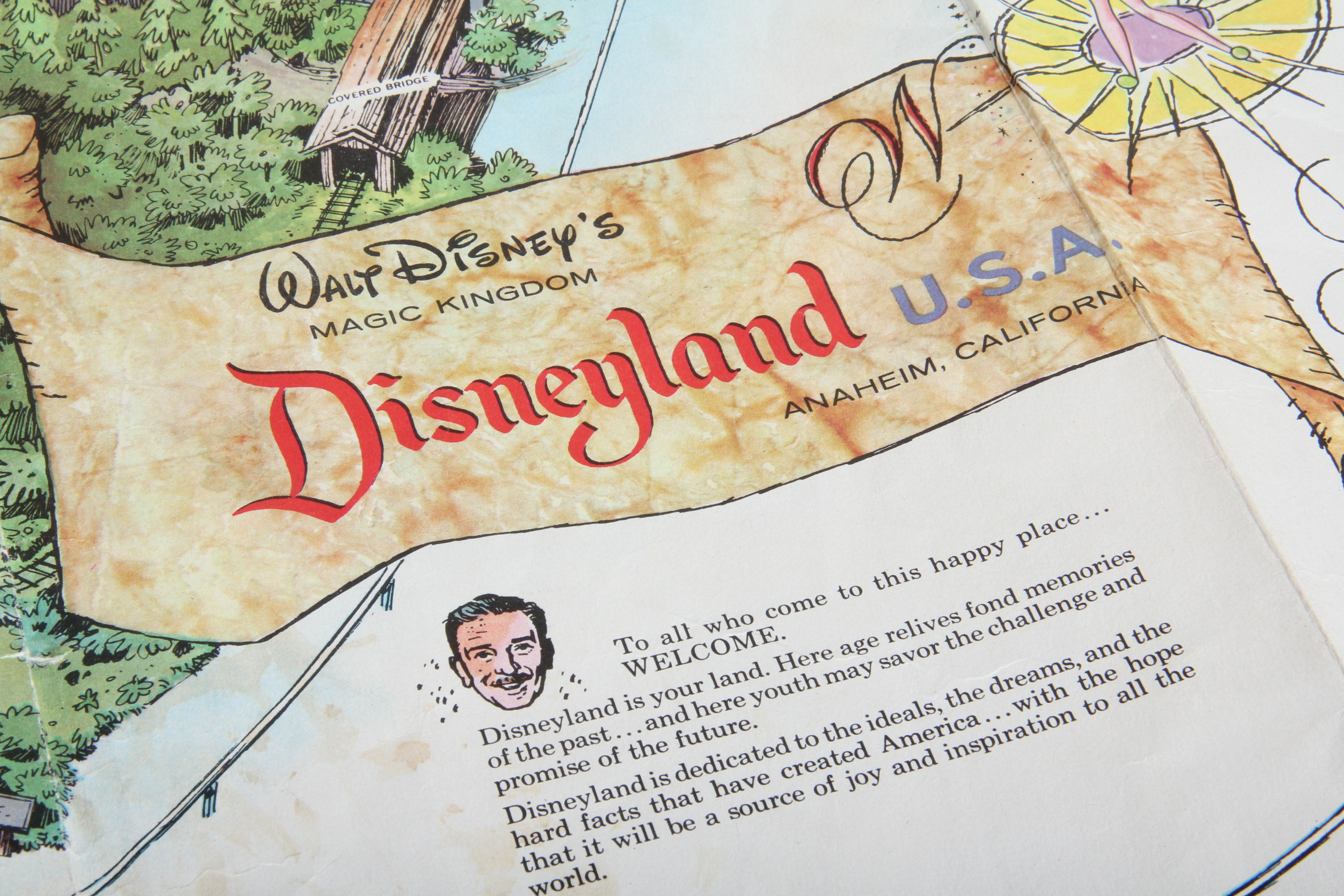 Walt Disney Memorabilia