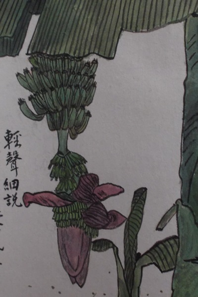 Xui Lin Chinese Painting of Banana Tree