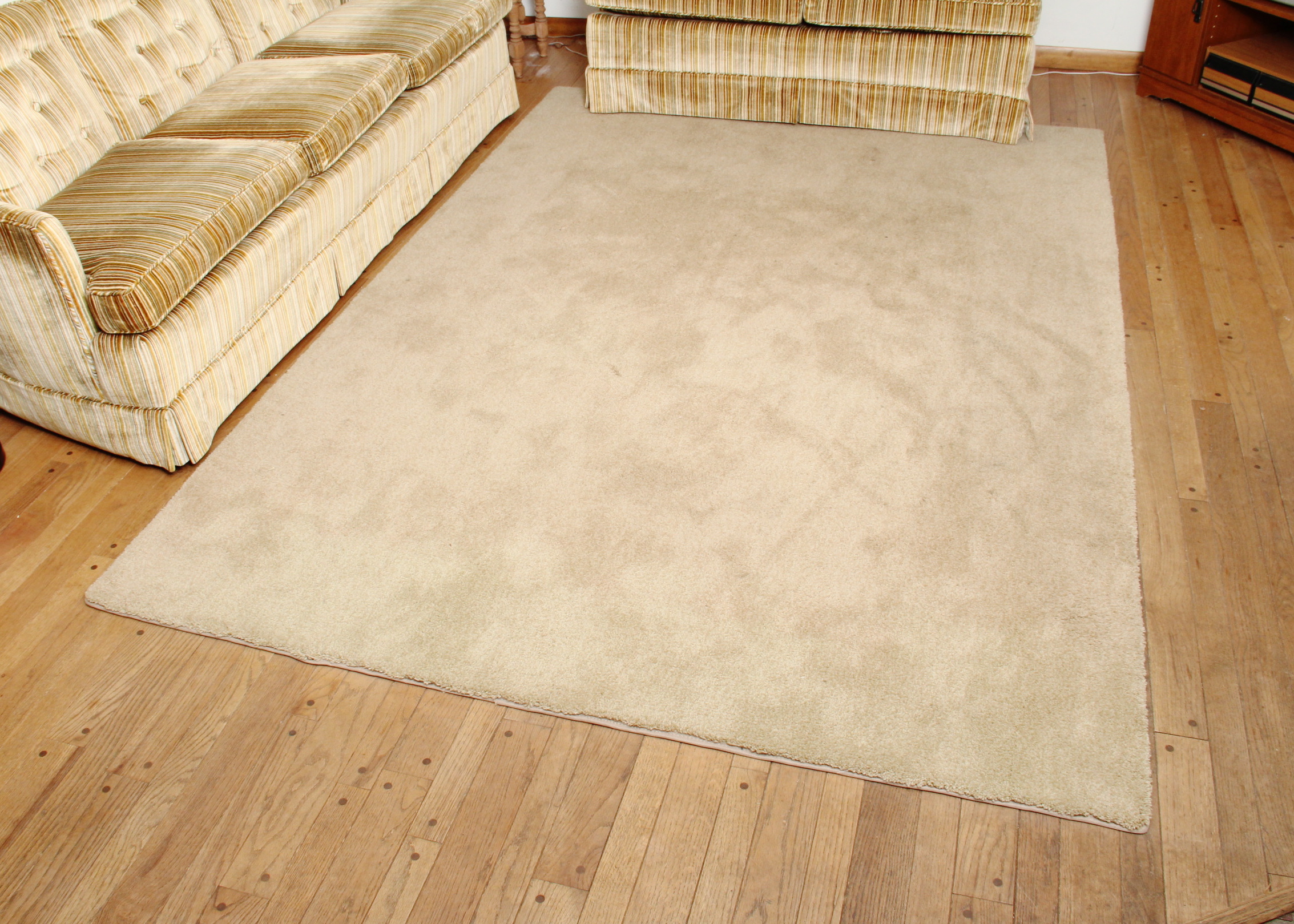 Neutral Area Rug