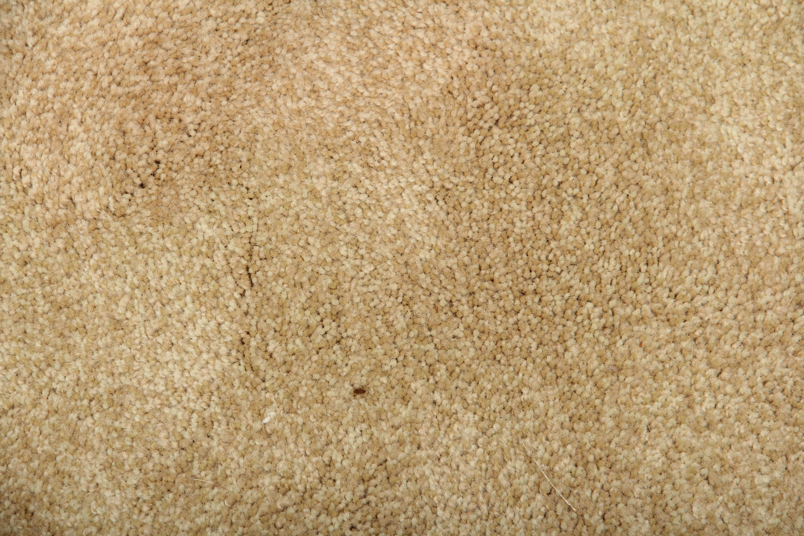 Neutral Area Rug
