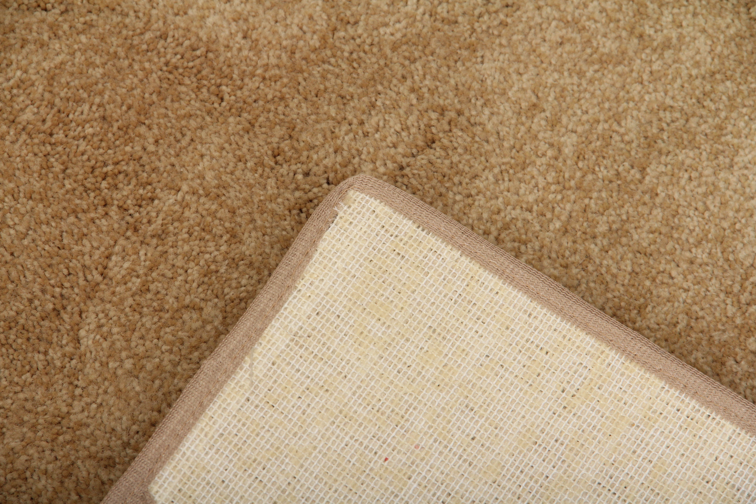 Neutral Area Rug