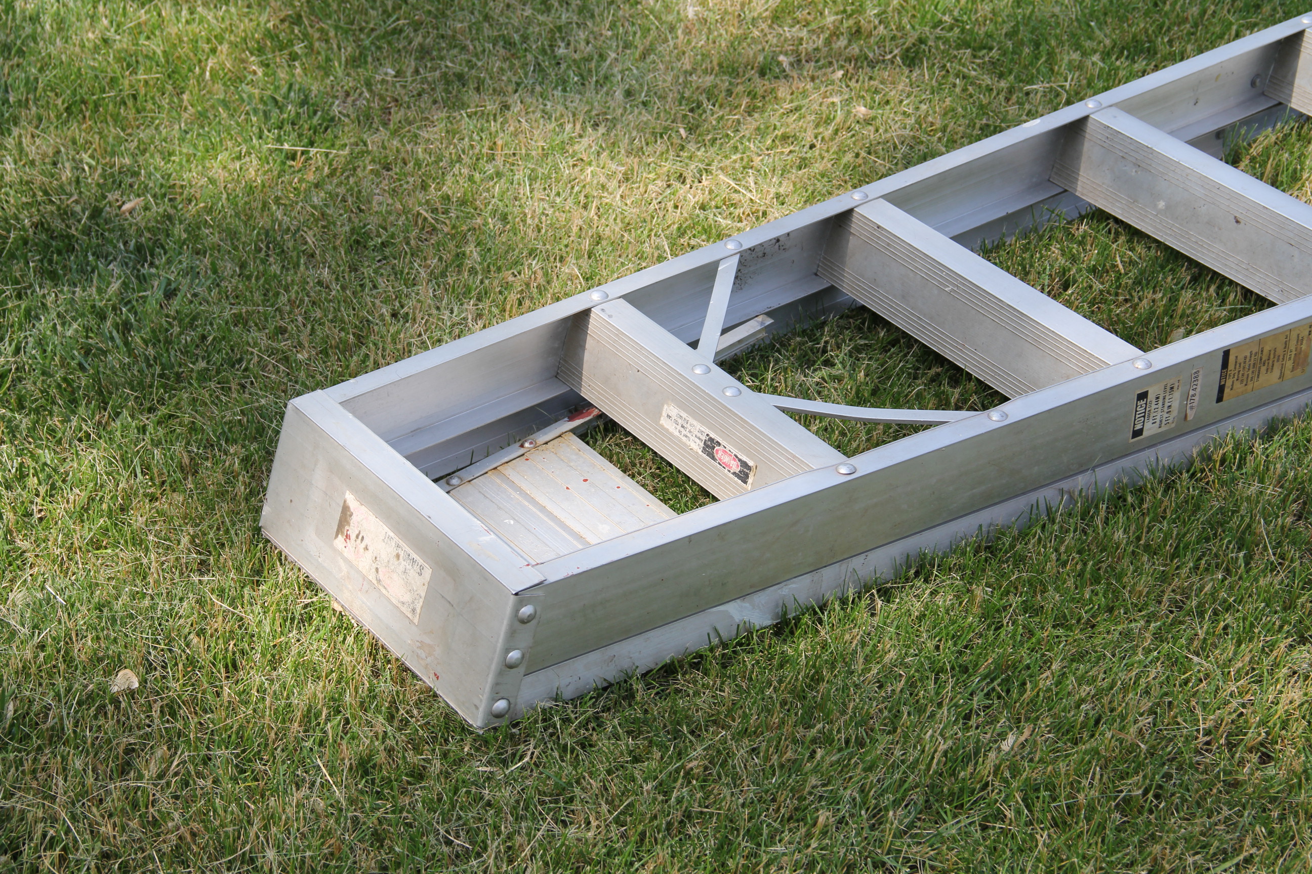 Extension and Folding Ladders