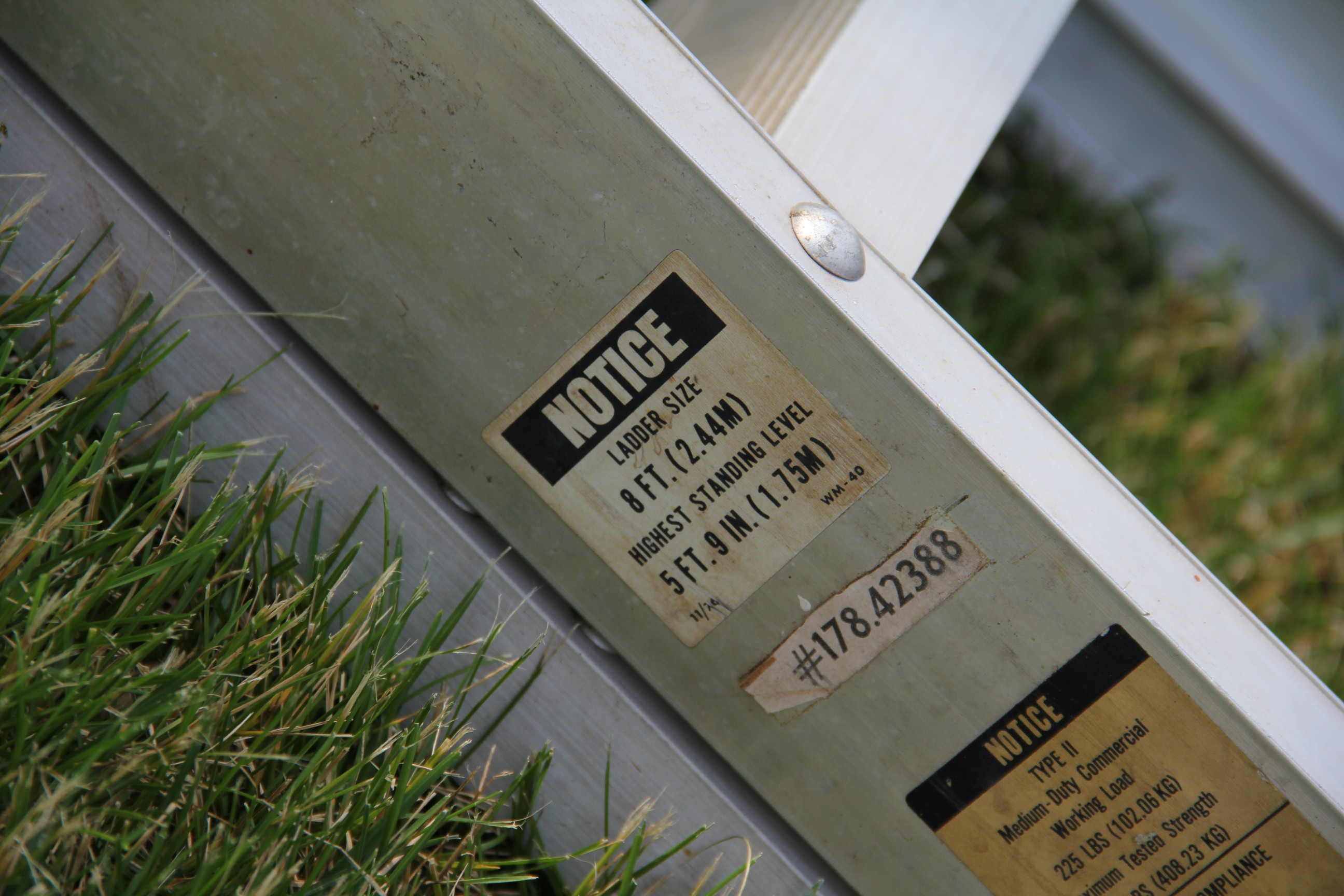 Extension and Folding Ladders