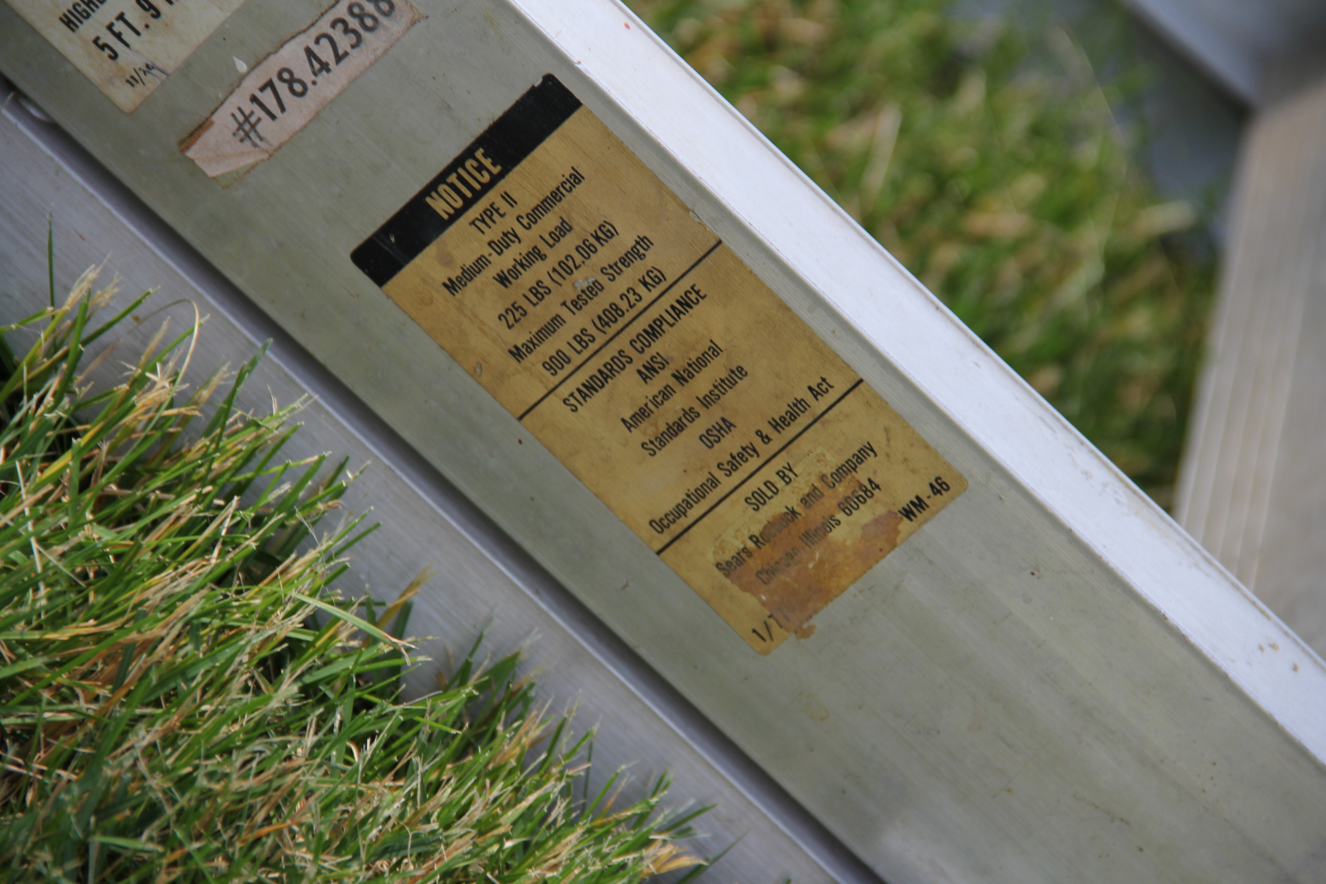 Extension and Folding Ladders