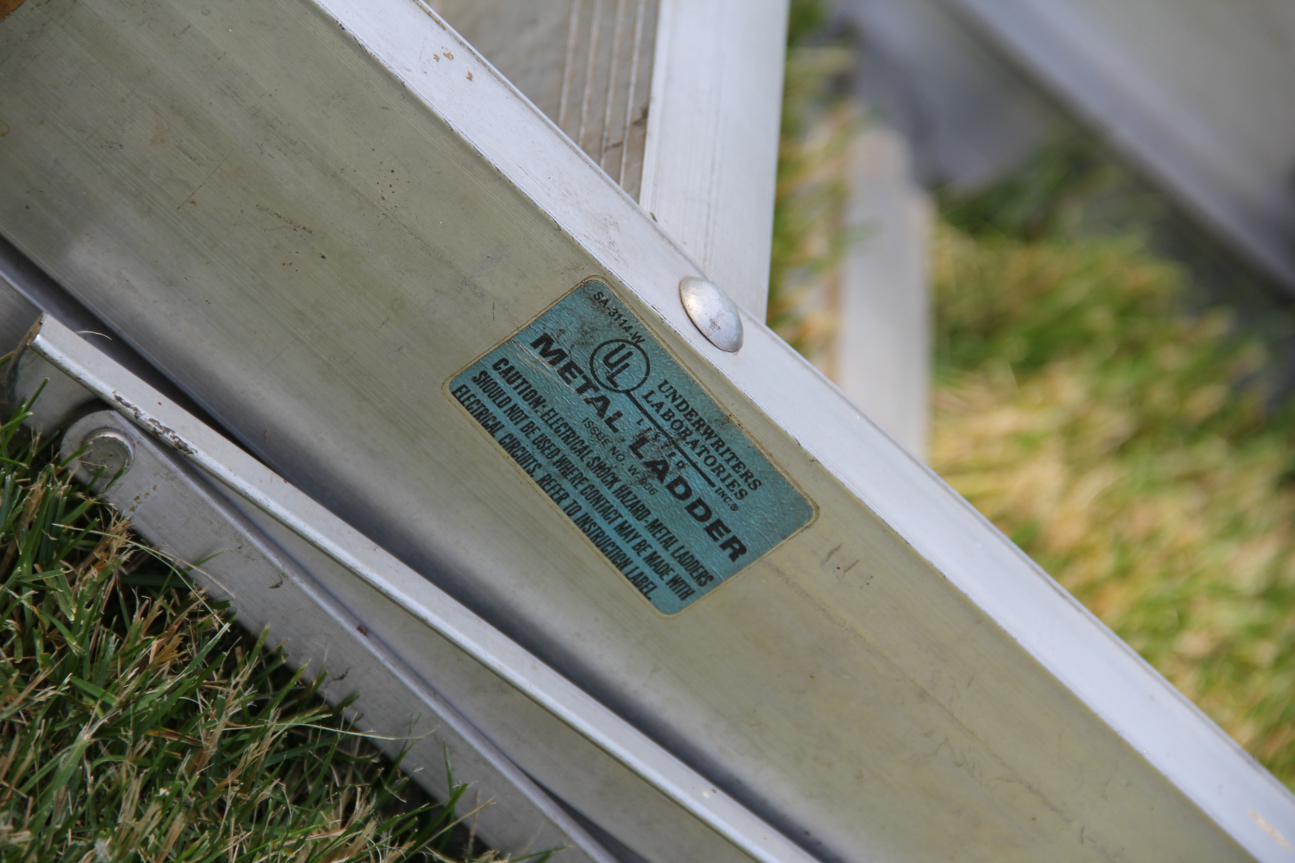 Extension and Folding Ladders