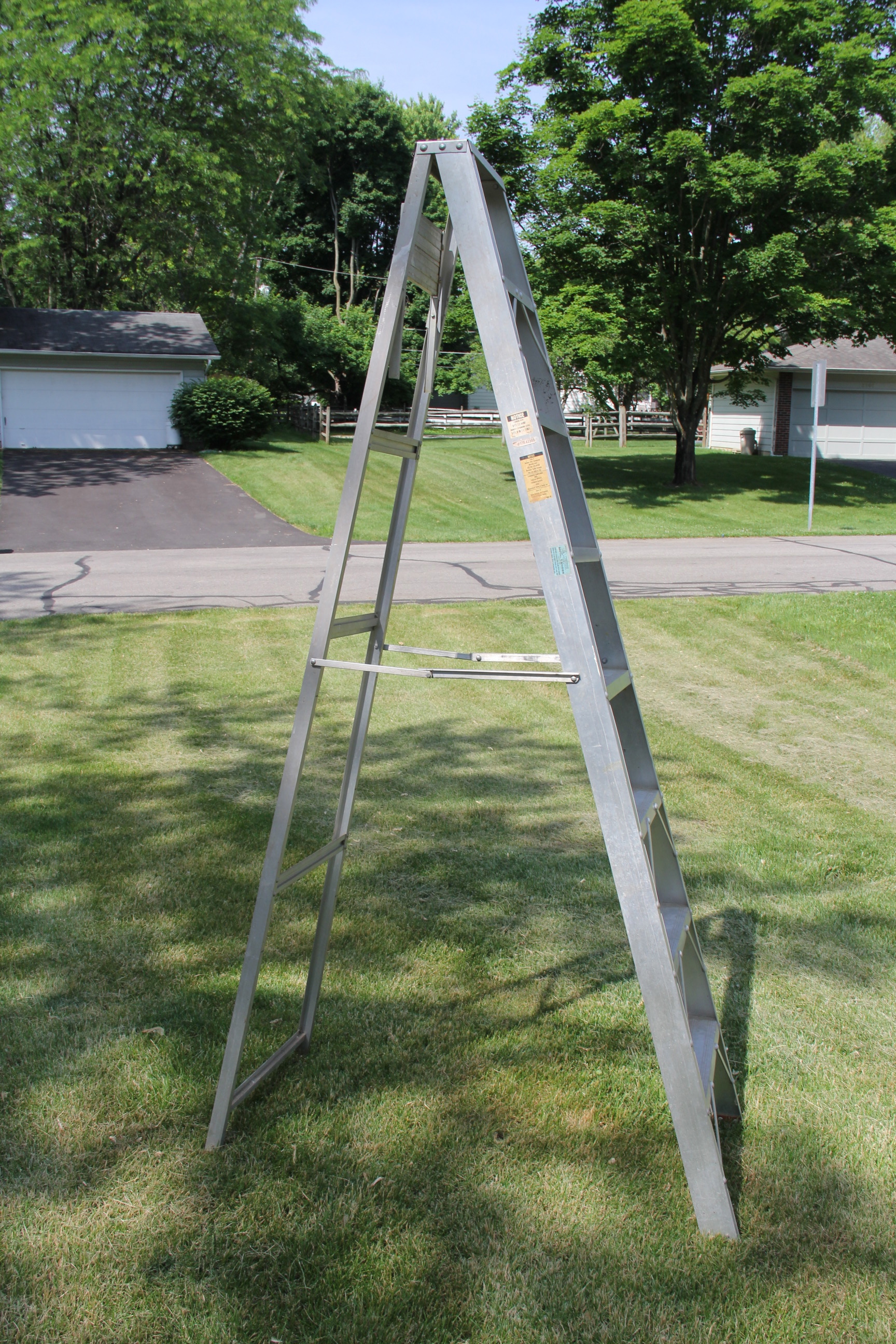 Extension and Folding Ladders