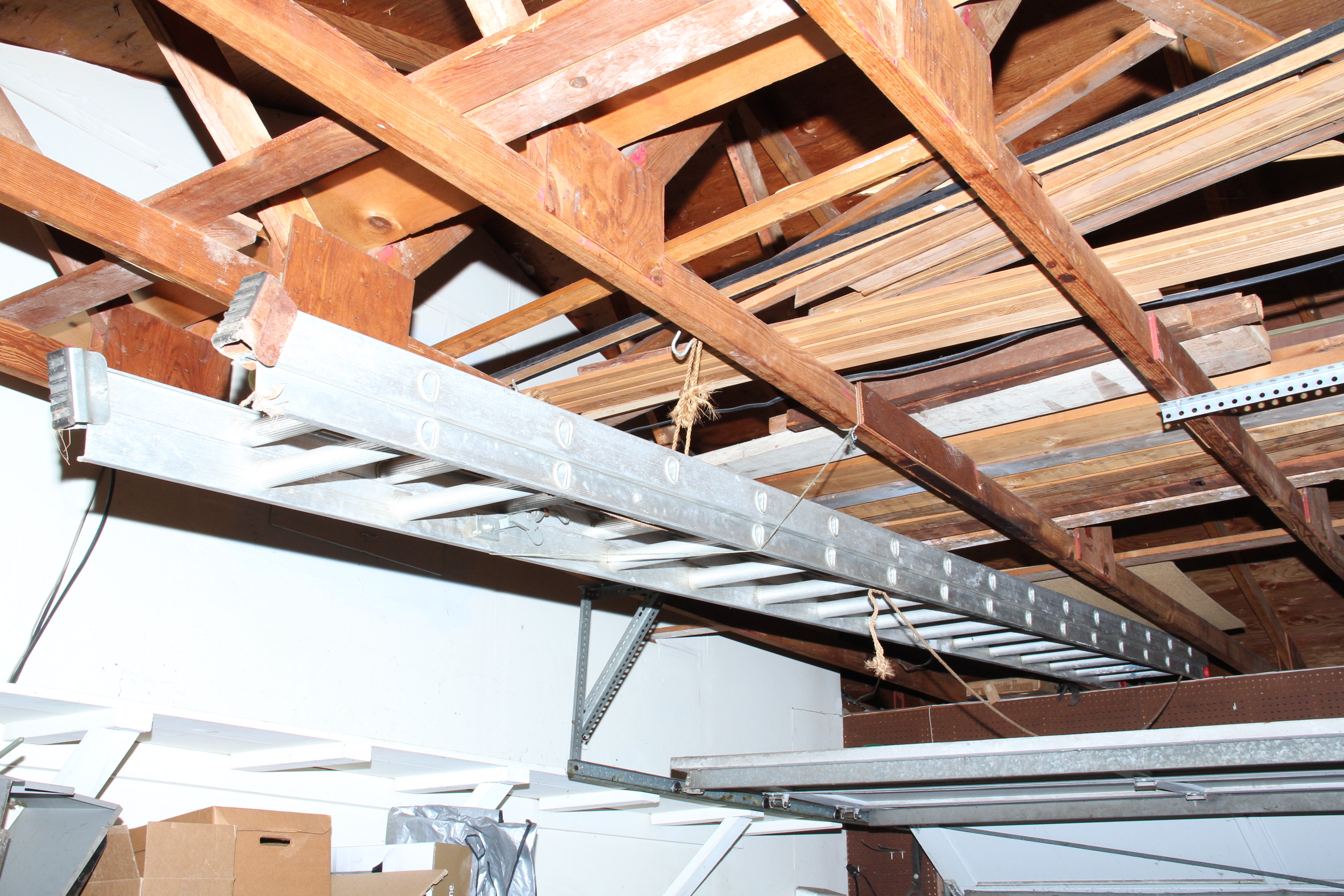 Extension and Folding Ladders