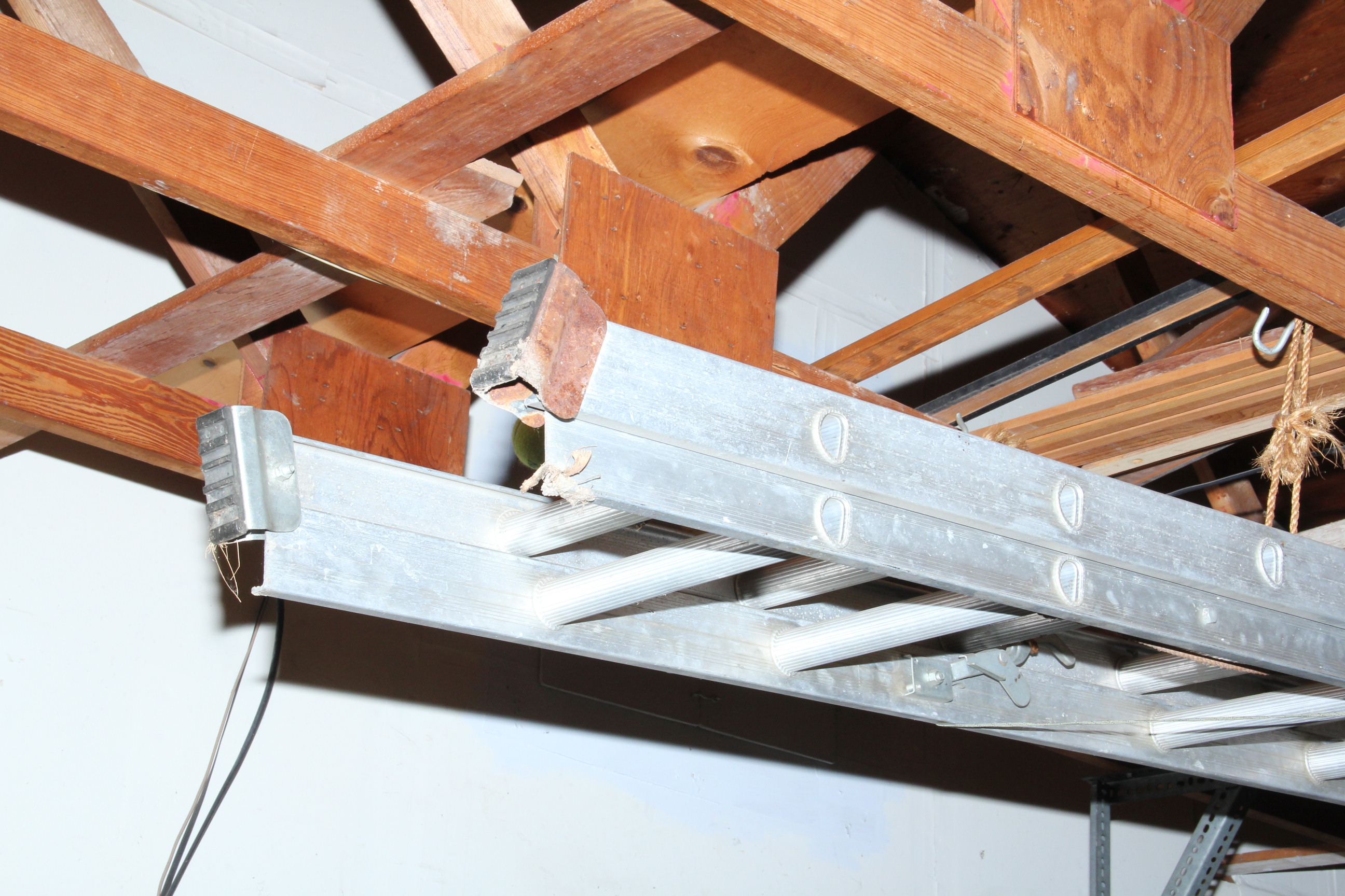 Extension and Folding Ladders