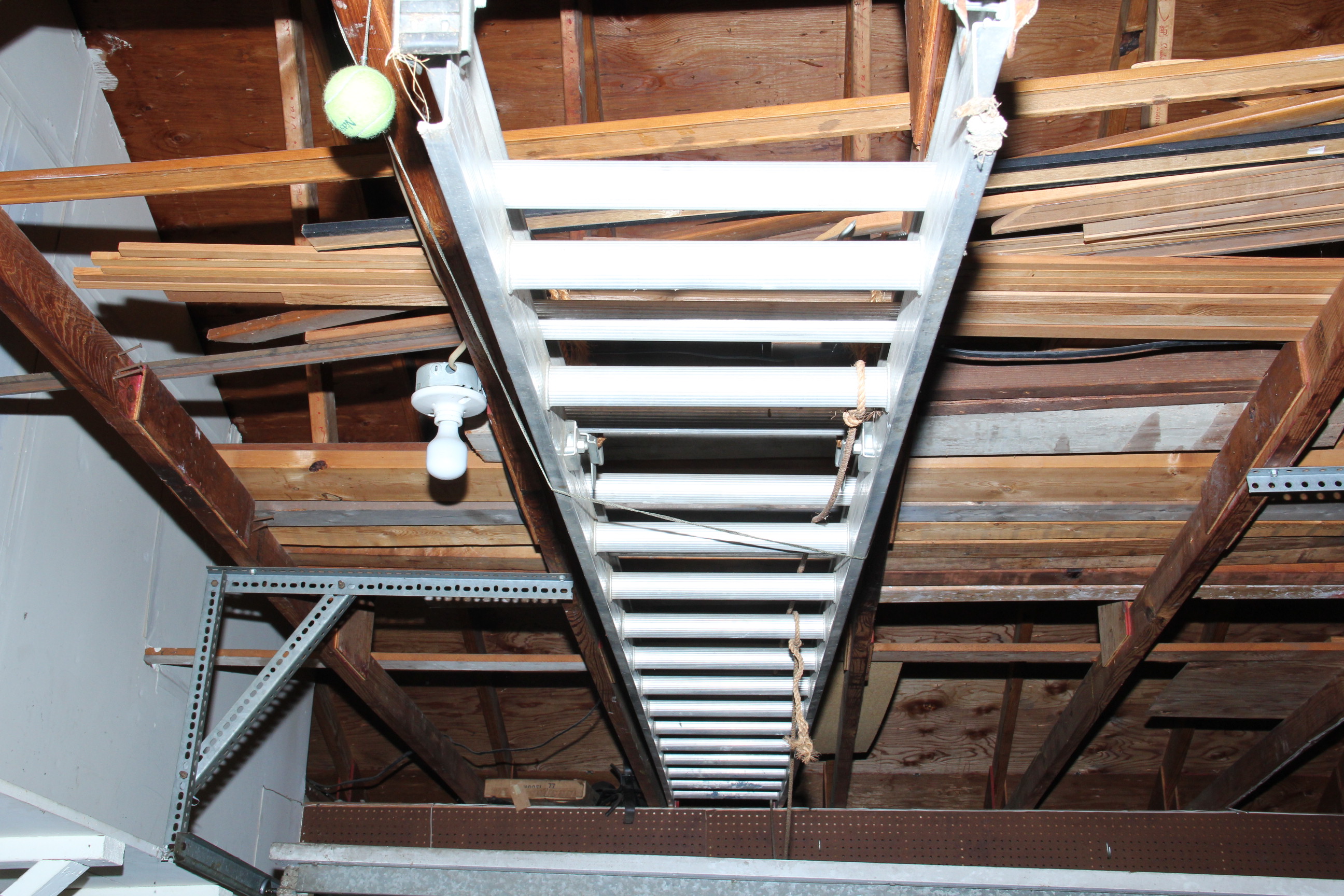Extension and Folding Ladders