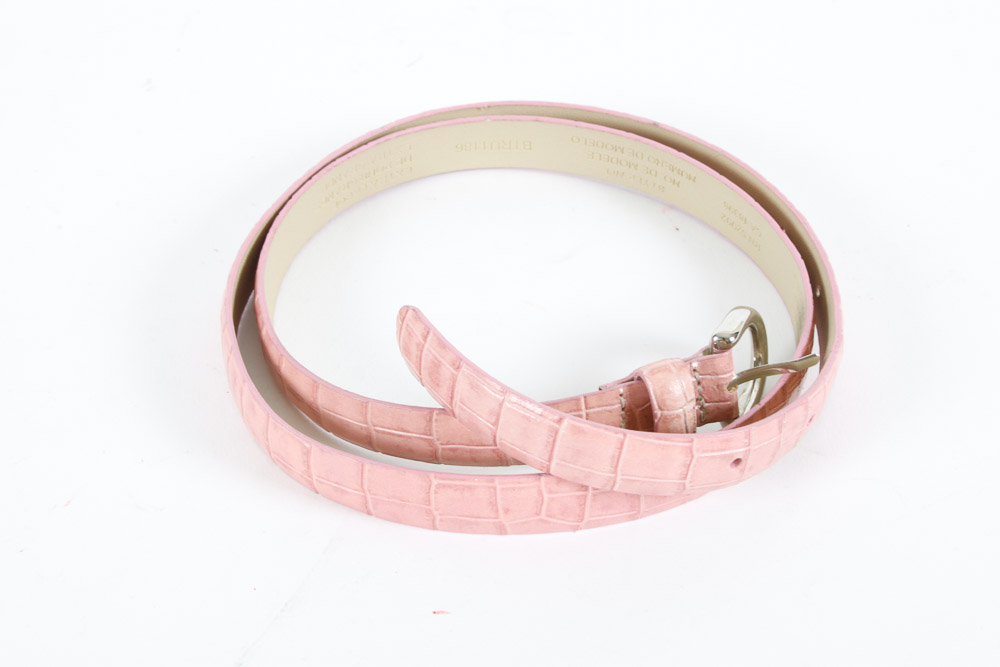 Assorted Thin Waist Belts