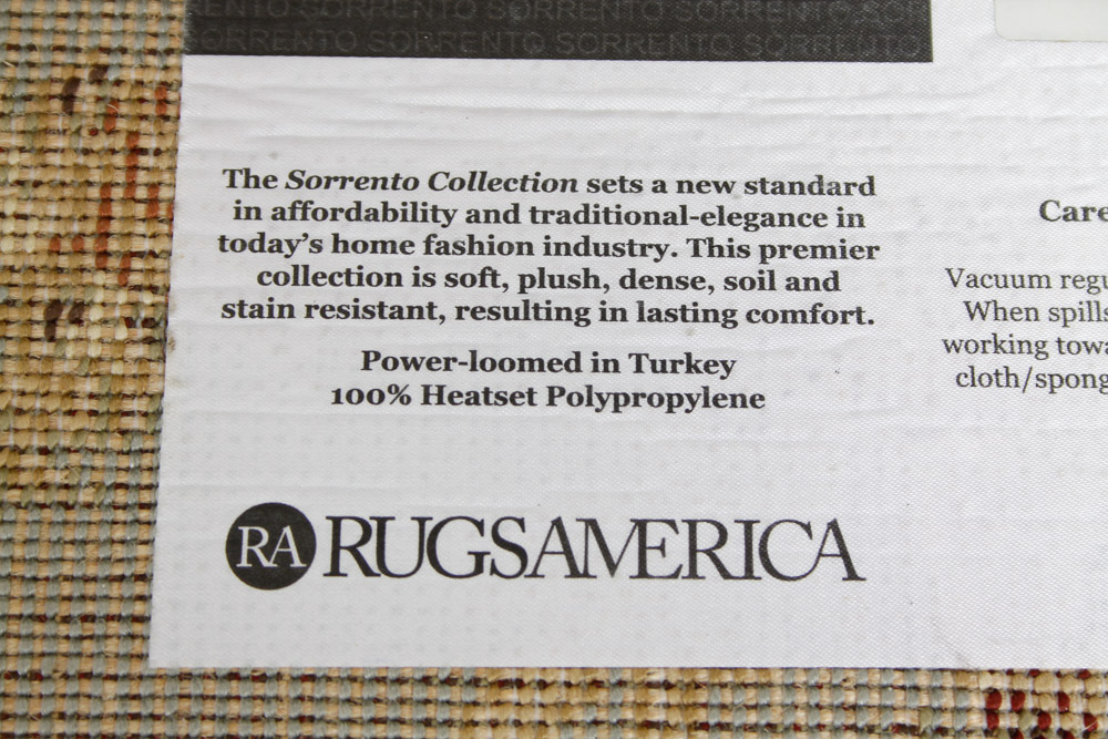 Blue Floral Area Rug