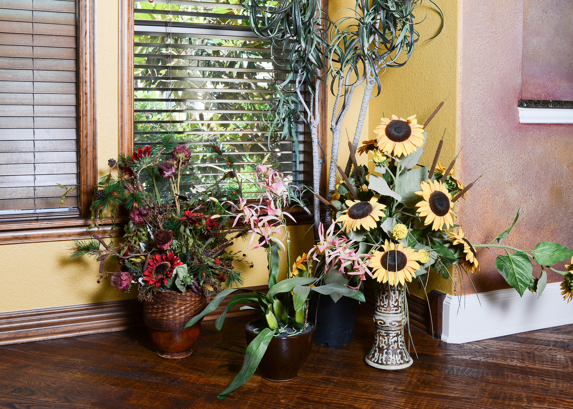 Collection of Decroative Plants