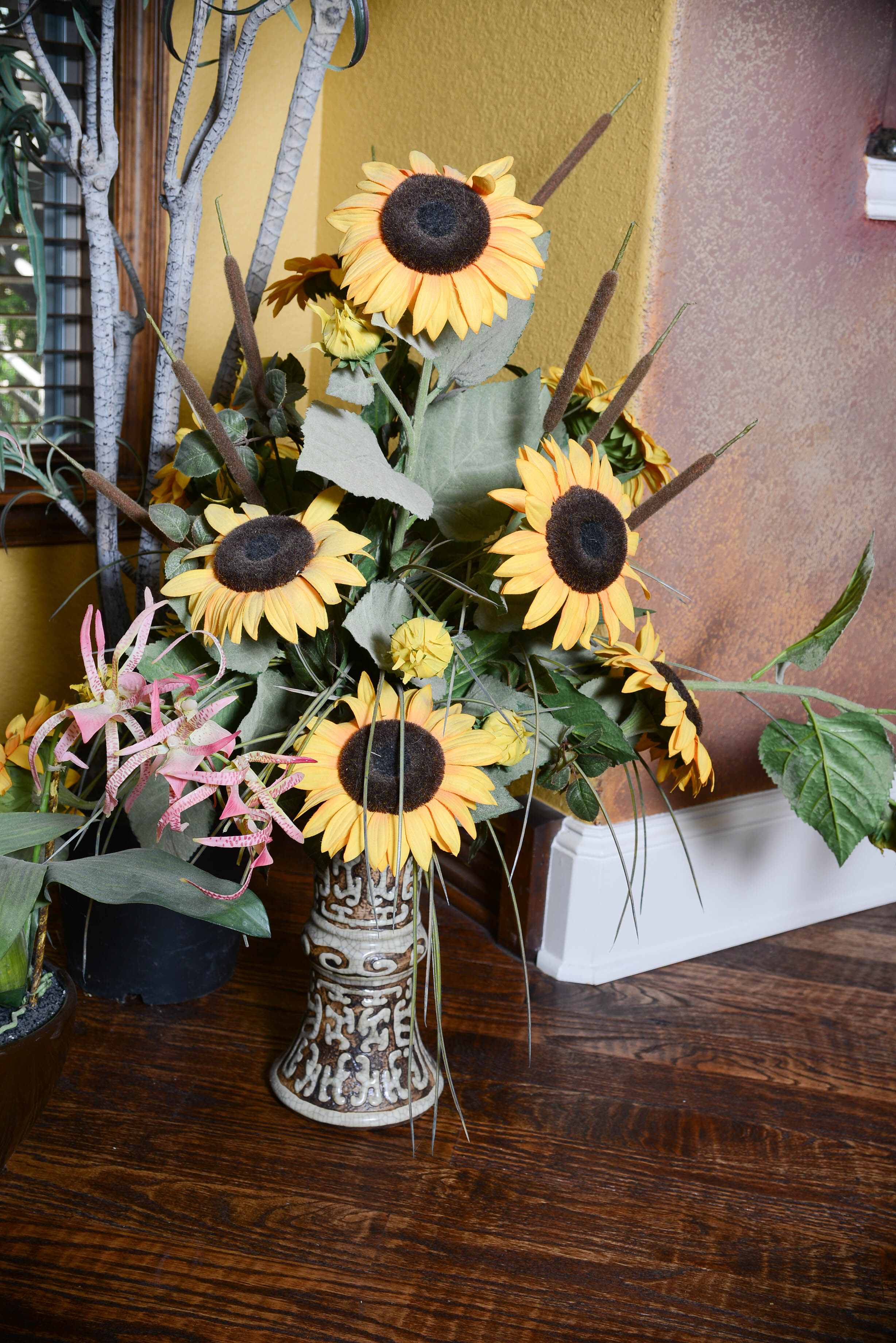 Collection of Decroative Plants