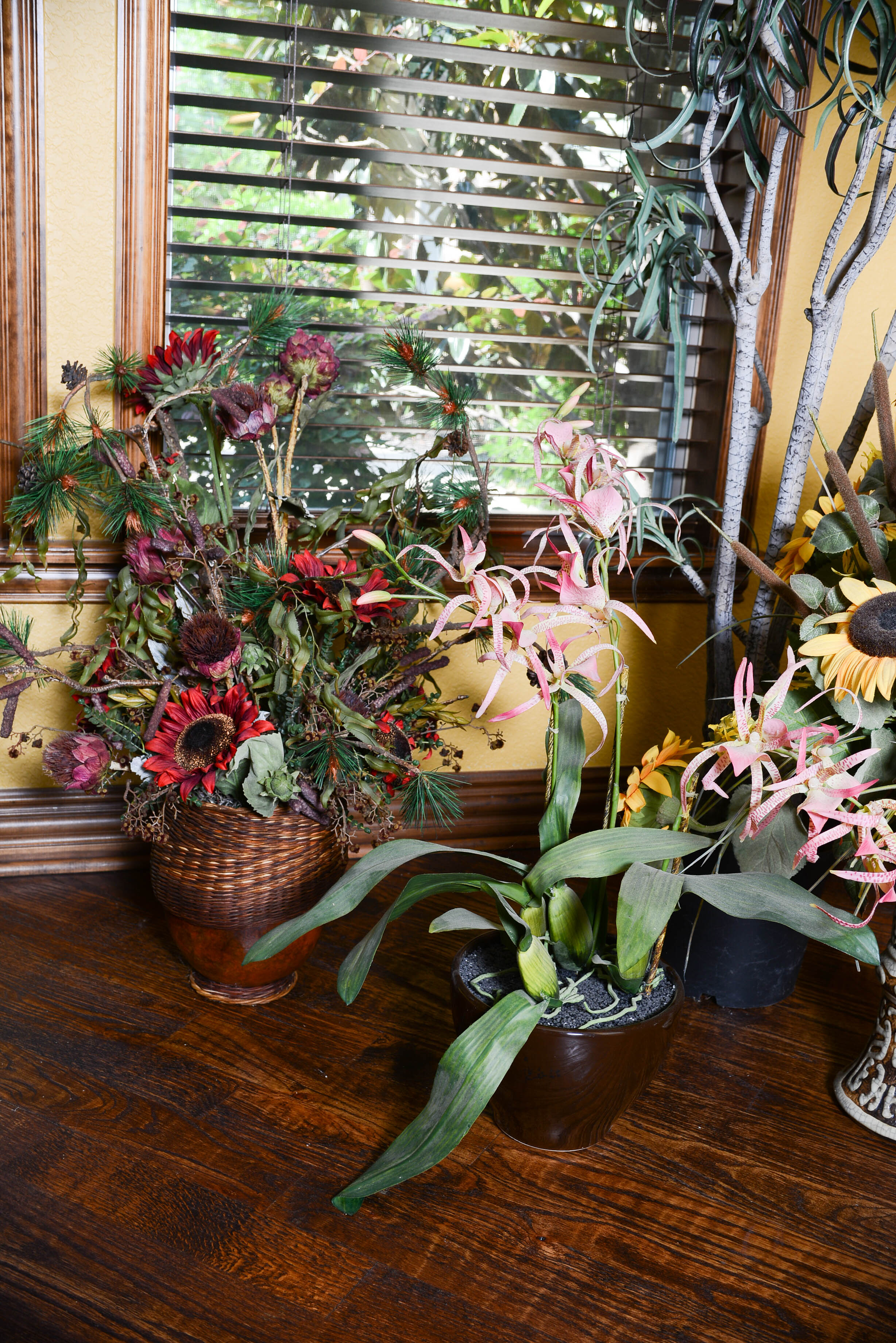 Collection of Decroative Plants