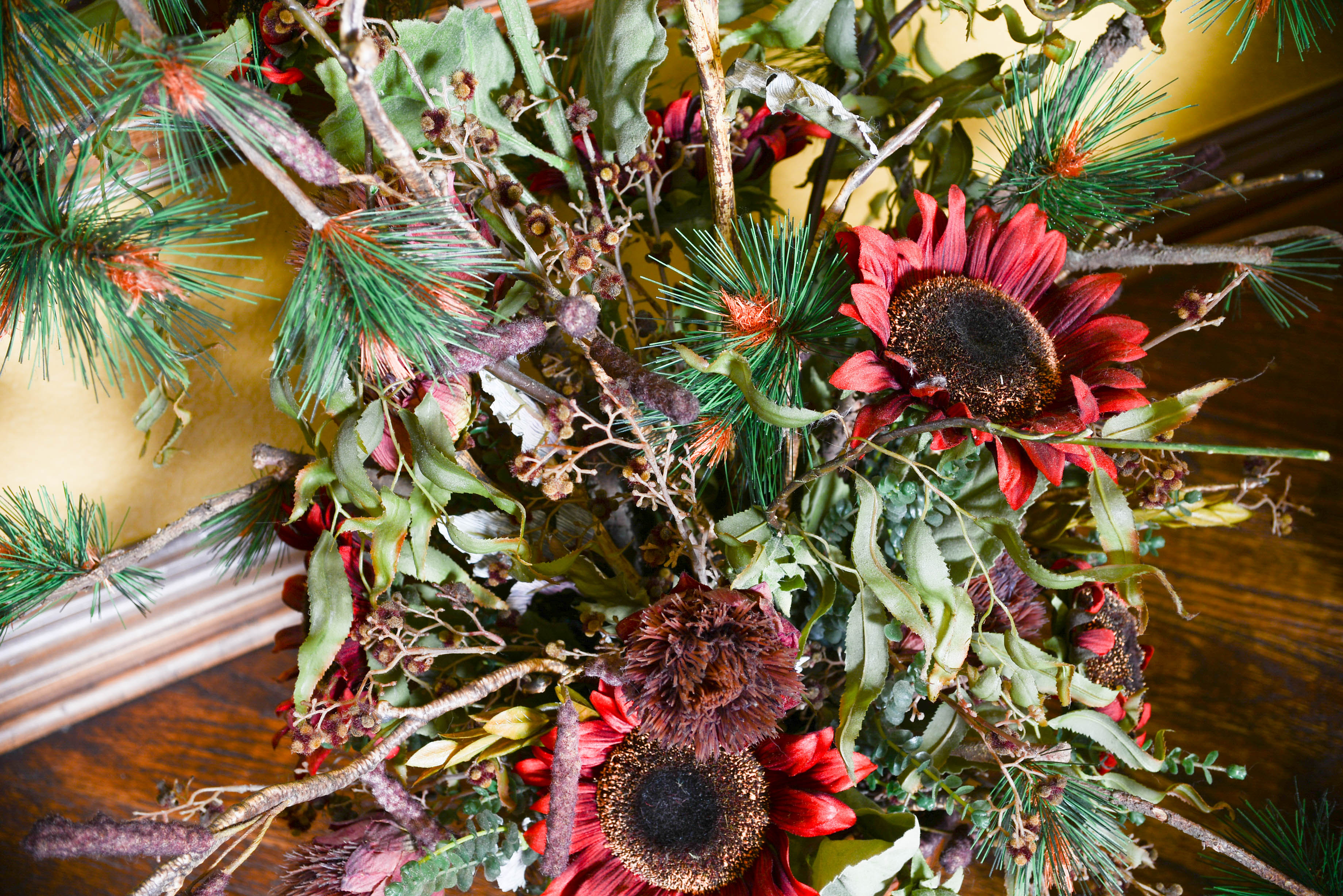 Collection of Decroative Plants