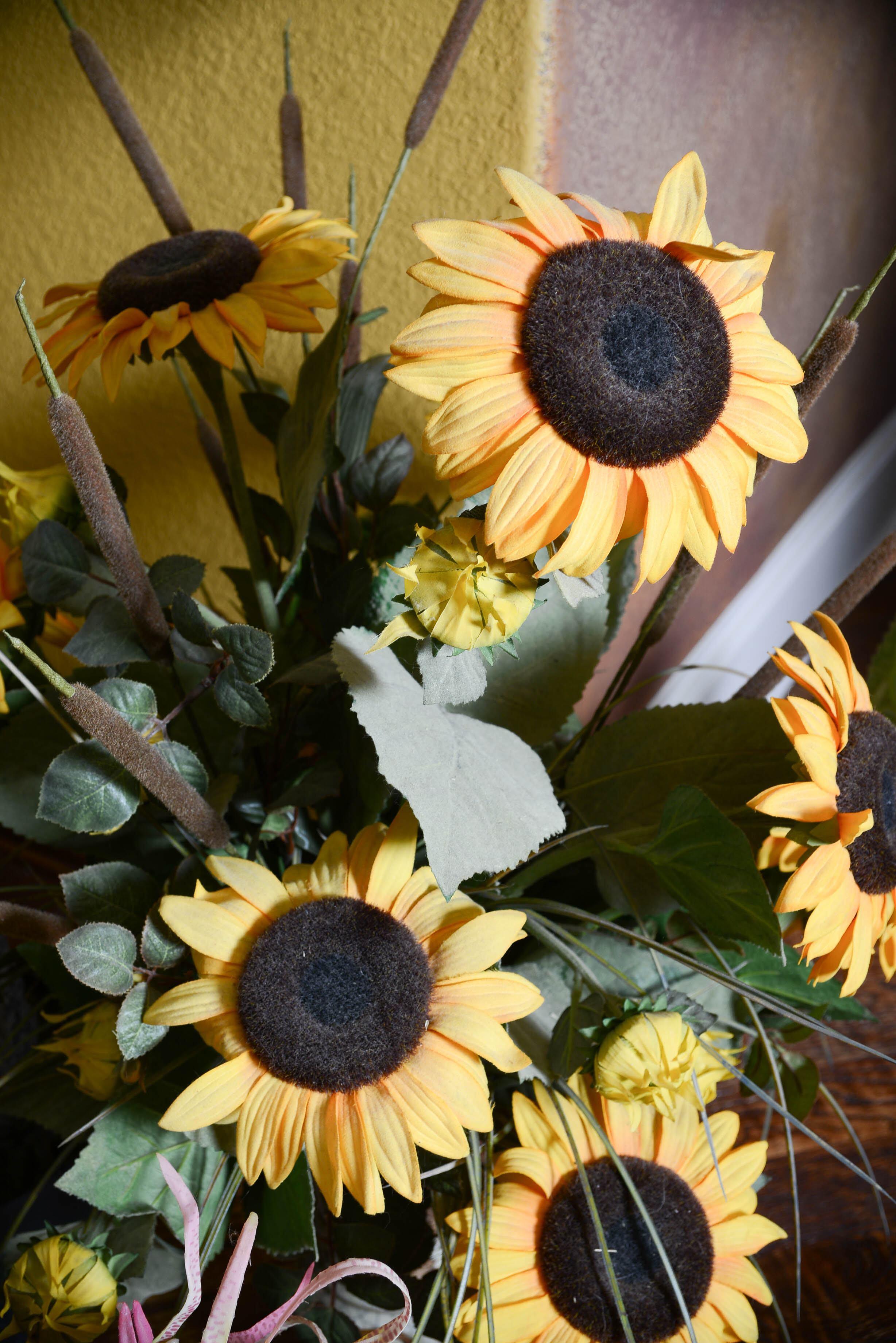 Collection of Decroative Plants