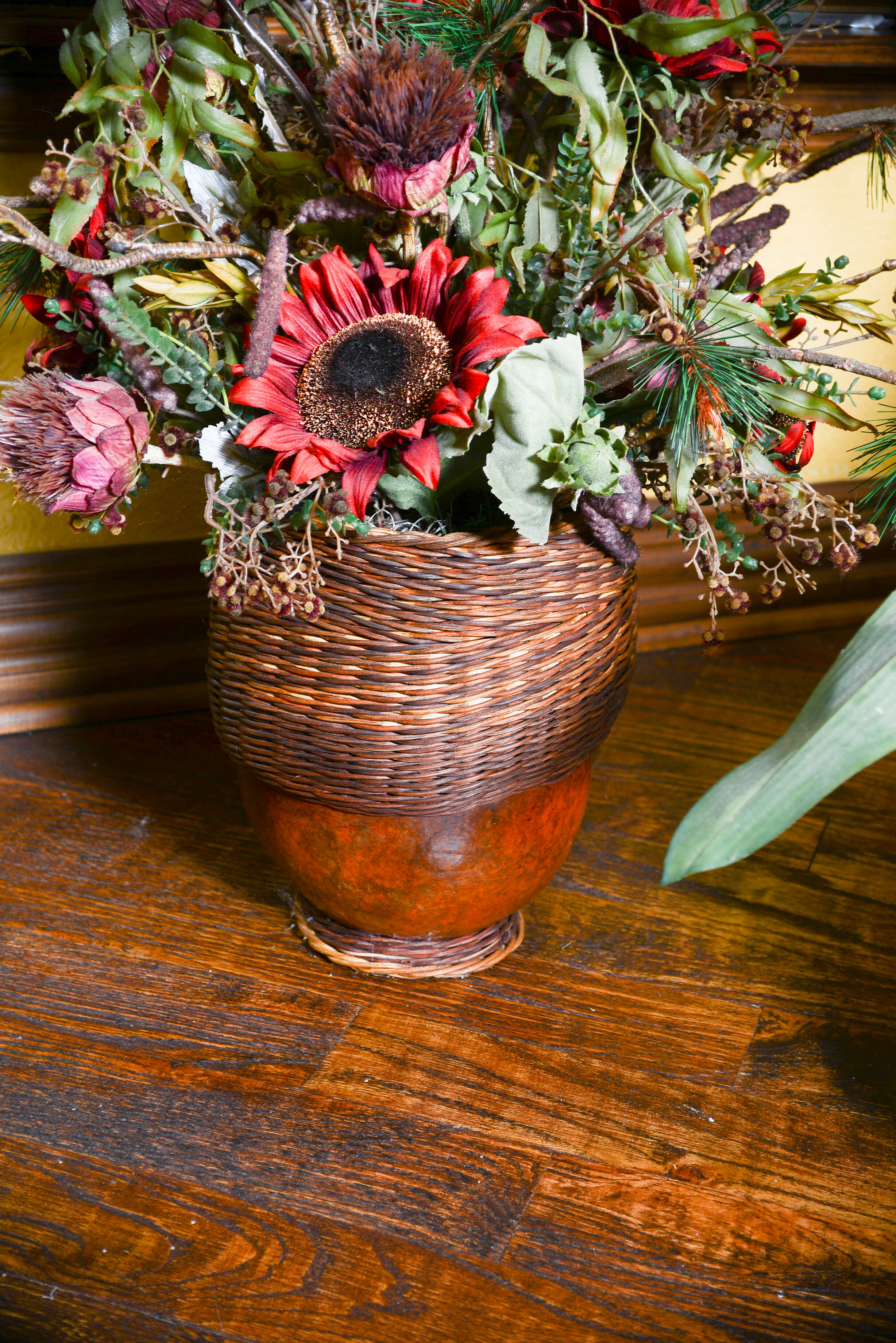 Collection of Decroative Plants