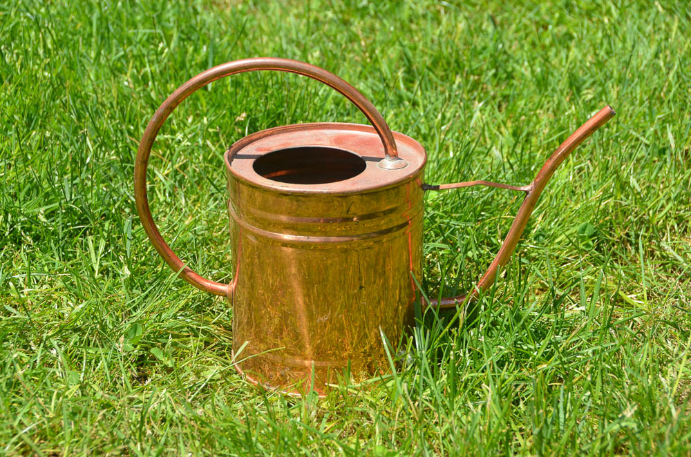 Copper Watering Can