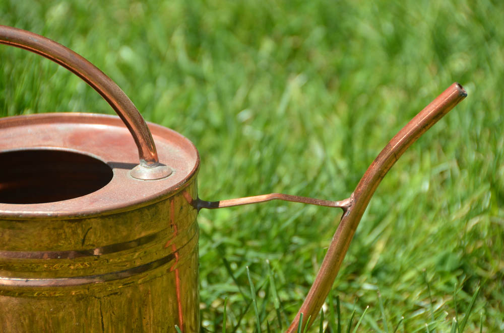 Copper Watering Can