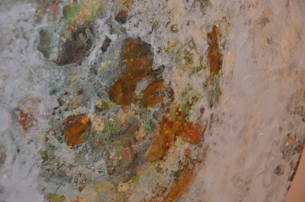 Modern Seashell Wall Art