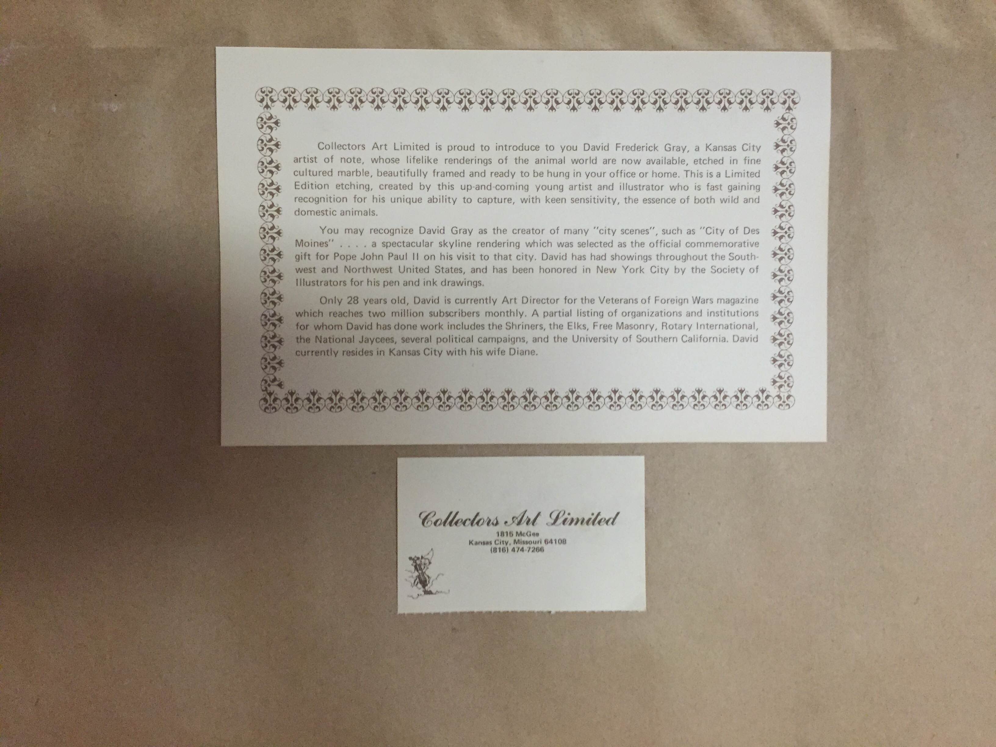 Framed Duck Engraving