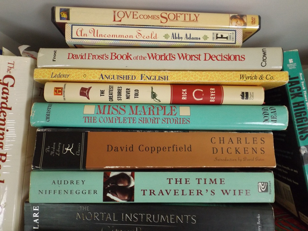 Two Shelves of Modern and Classic Books