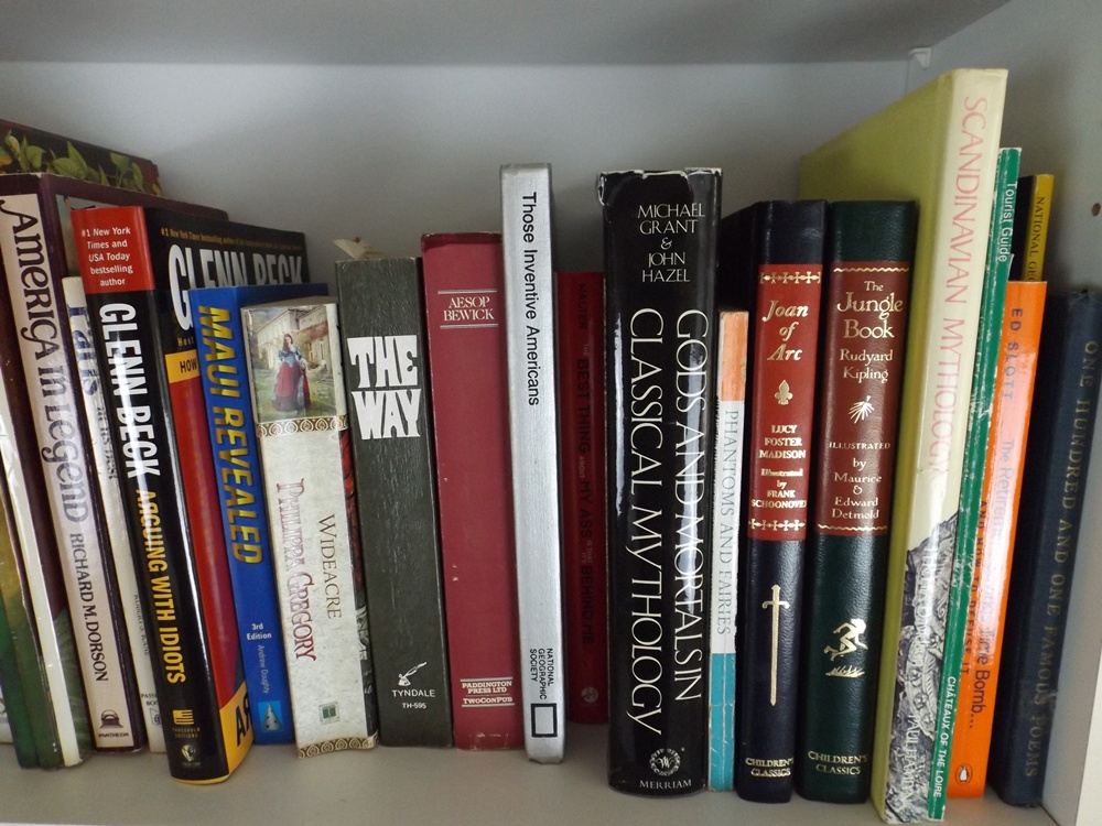 Two Shelves of Modern and Classic Books