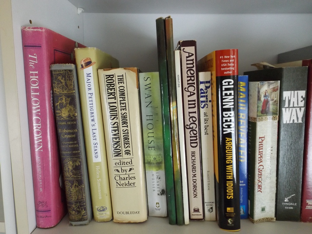 Two Shelves of Modern and Classic Books