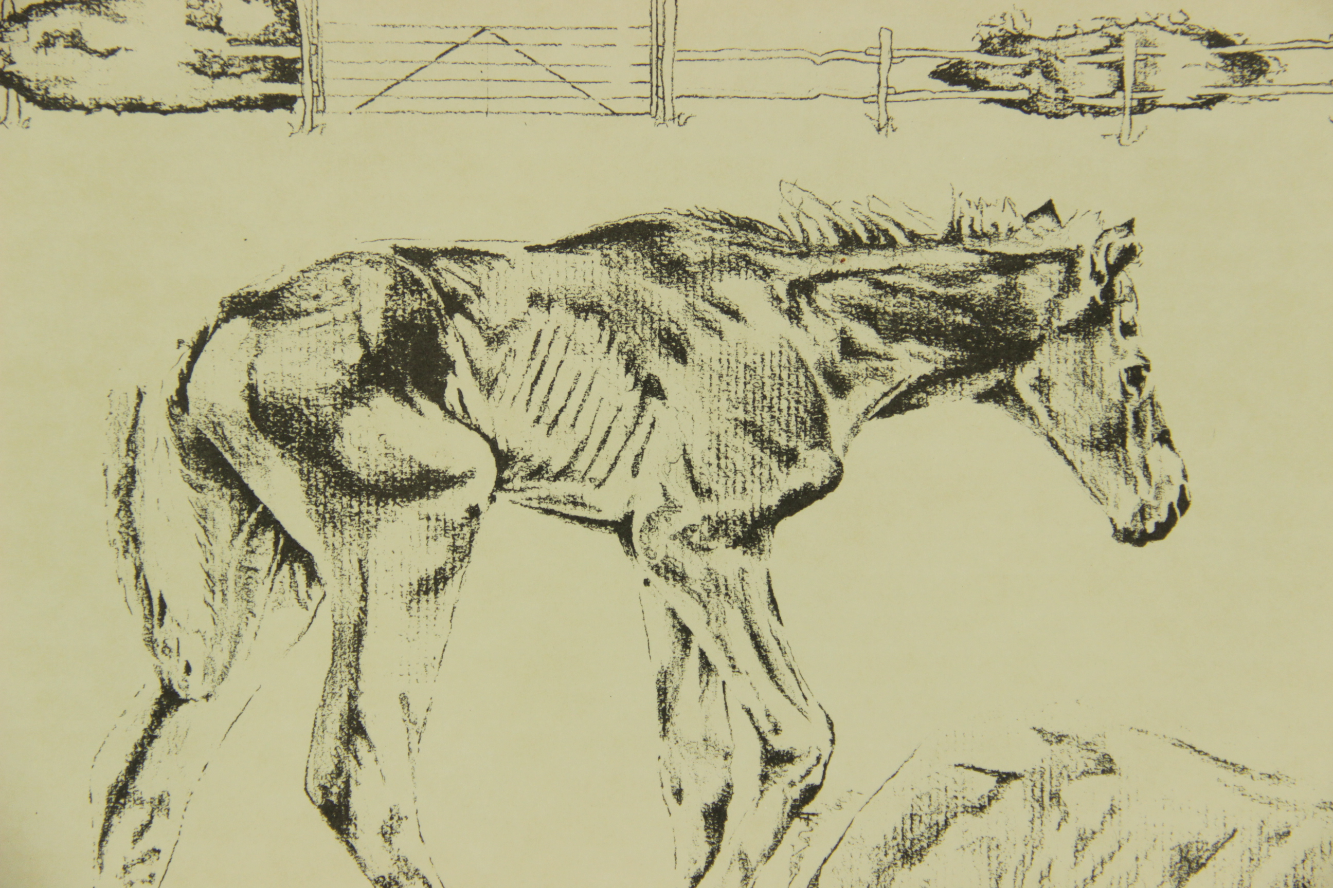 Price Youngman Lithograph "The Runt" 1989