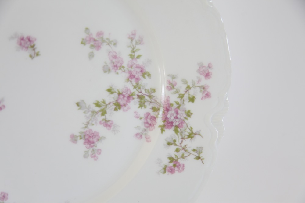 French and German Plates