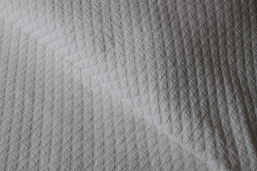 Historic Charleston Queen Coverlet