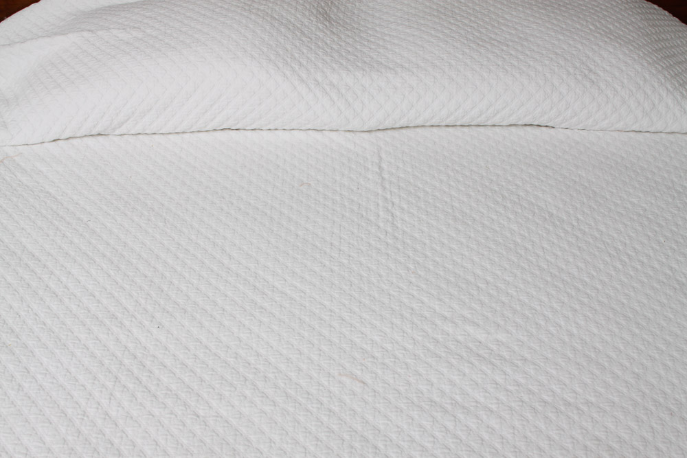 Historic Charleston Queen Coverlet