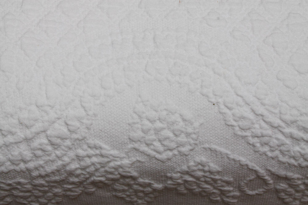 Historic Charleston Queen Coverlet