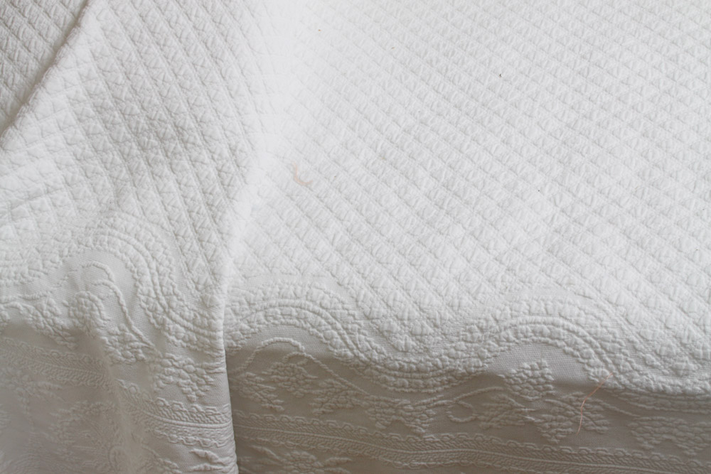 Historic Charleston Queen Coverlet