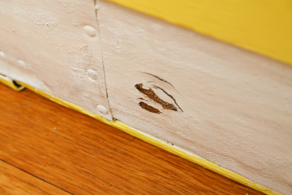 Painted Wood and Canvas Trunk