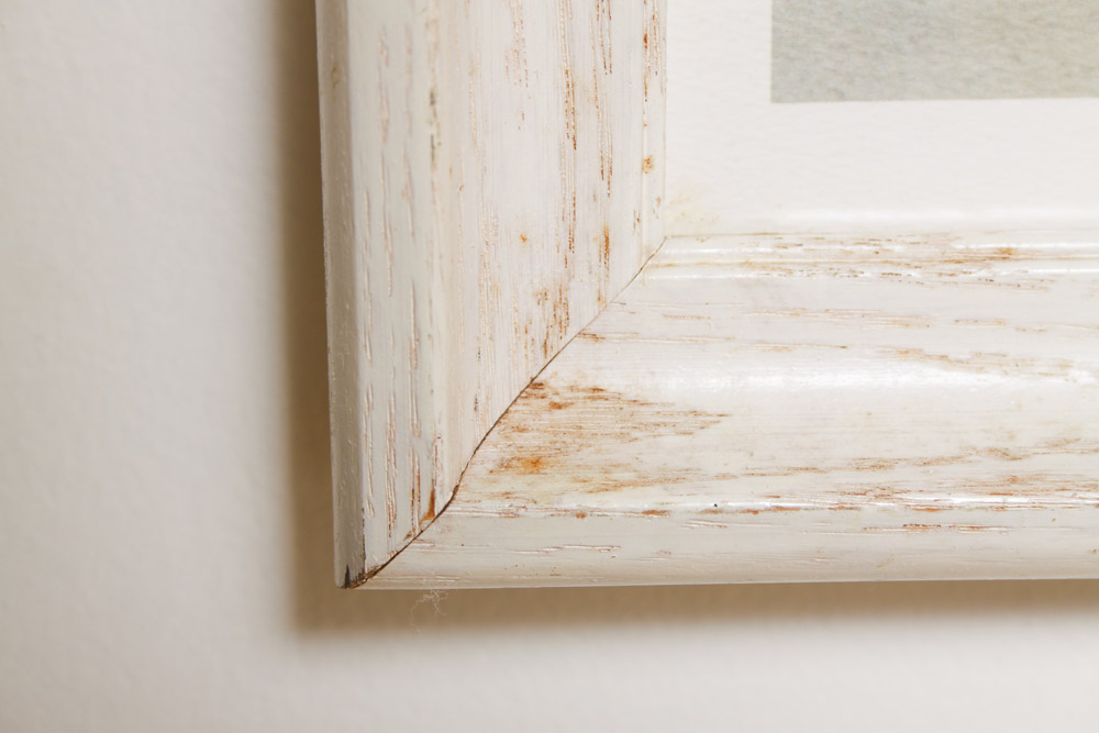 Framed Watercolor Print