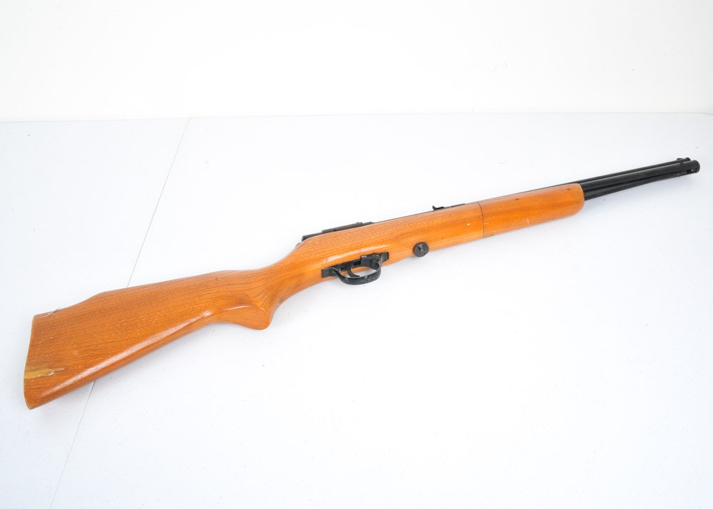 Hawthorne Pellet Gun EBTH