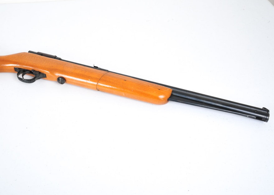 Hawthorne Pellet Gun EBTH