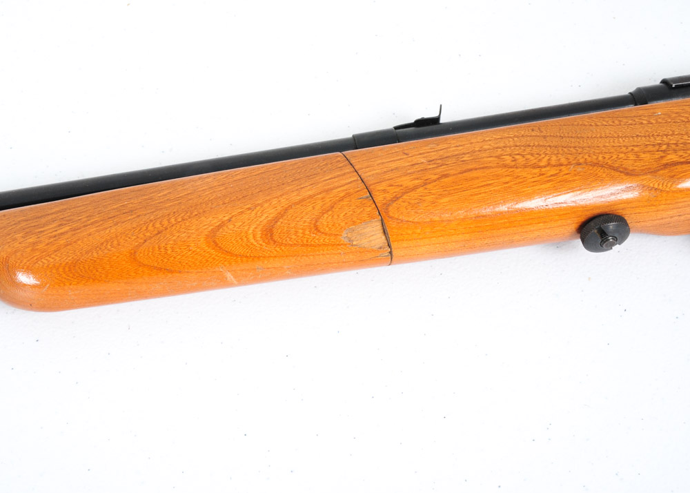 Hawthorne Pellet Gun