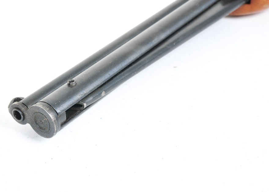 Hawthorne Pellet Gun EBTH