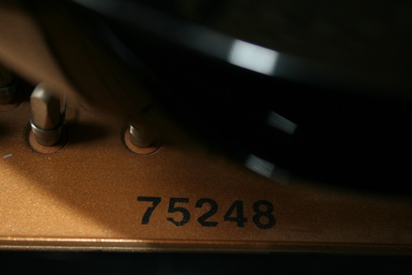 Wurlitzer Baby Grand Piano with Baldwin Concert Master