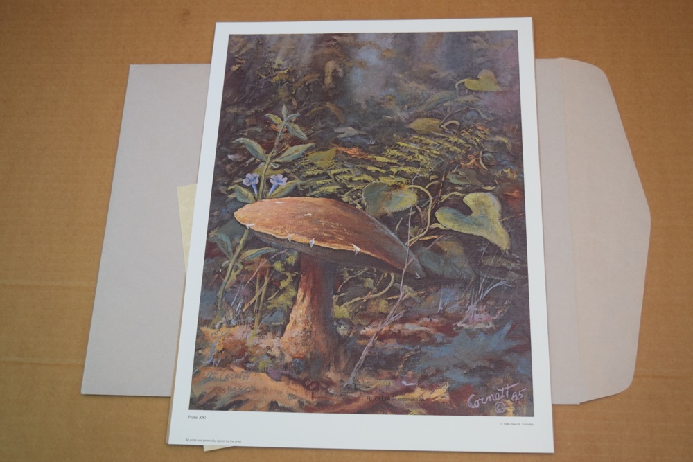 Signed Limited Edition Prints by Kentucky Artist Al Cornett