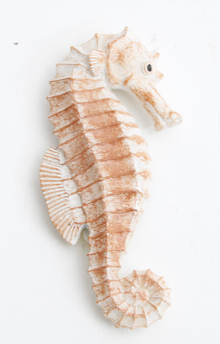 Beach Themed Decorative Items