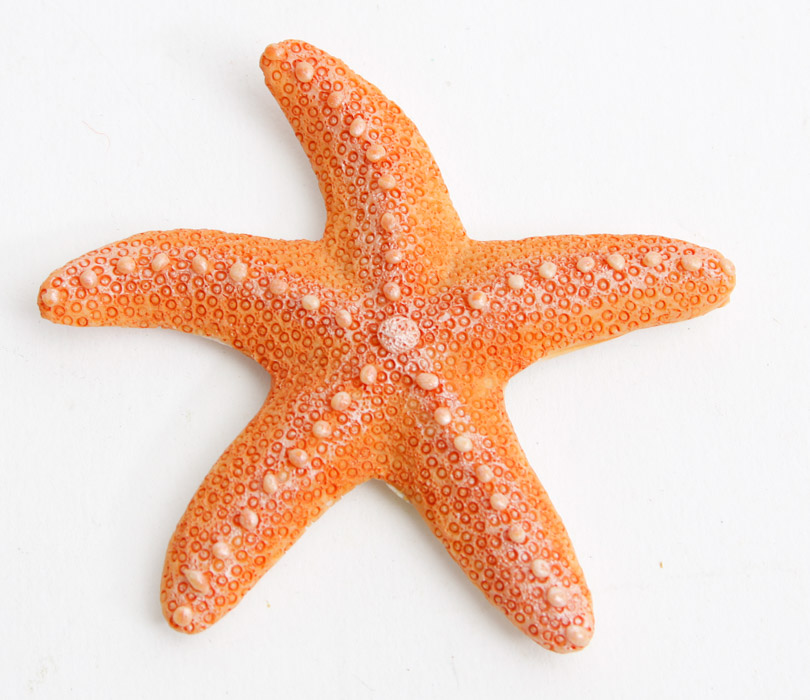 Beach Themed Decorative Items