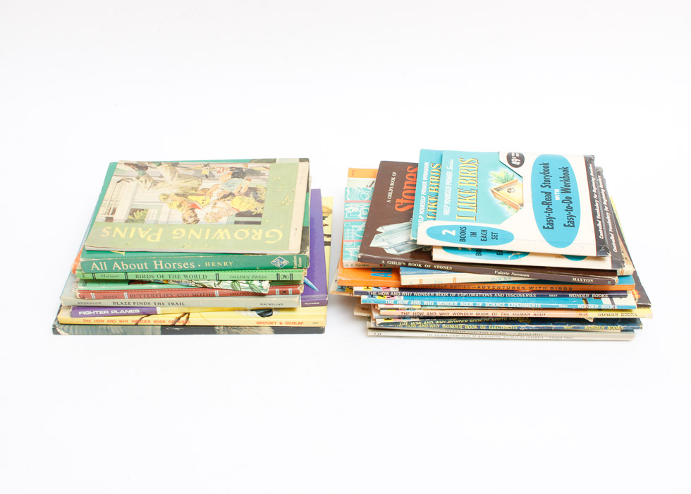 Group of Children's Educational Books