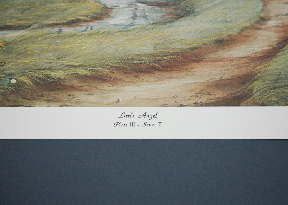 Collection of Unframed Signed Prints by Arnold McDowell