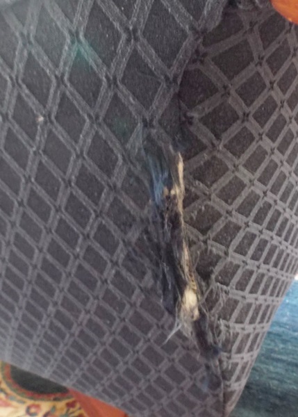 Early Twentieth Century Duncan Phyfe Style Sofa